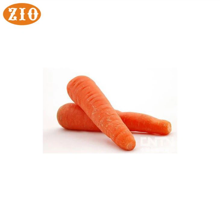 Beta carotene powder